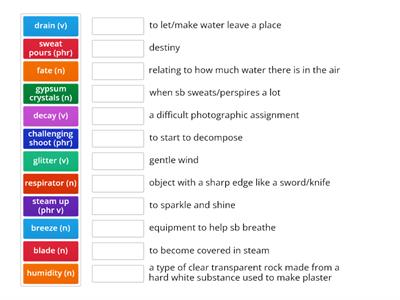 St9M2e vocabulary matching