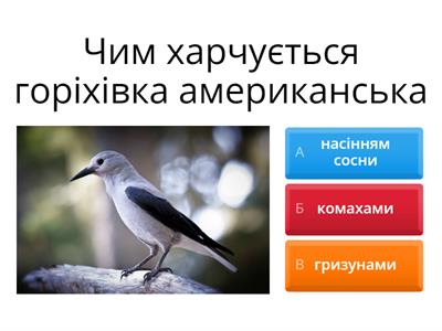 Моя планета Земля