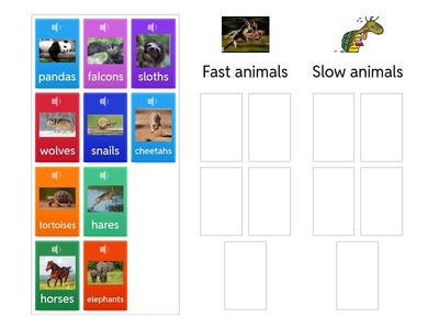 Fast or slow? CLIL 