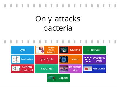 Virus Review