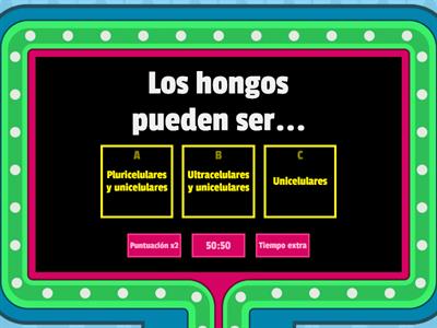 Los hongos (4ºEP)