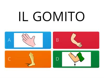 PARTI DEL CORPO italiano l2