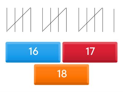 Tally Numeral 16-20 Quiz