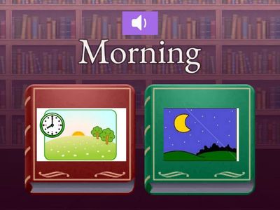 Little Fox_Morning and Afternoon