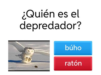 Spanish- Predator vs. Prey