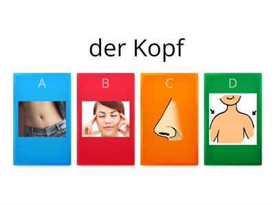 Körperteile