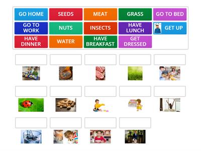 ROOFTOPS 4º 4º UNIT