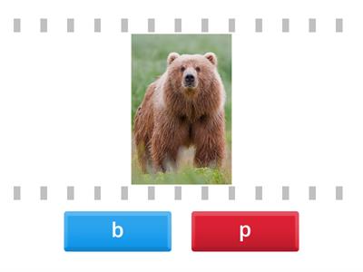 b or p