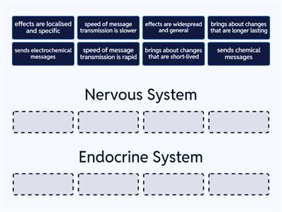 Nervous System VS Endocrine System