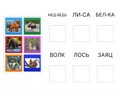 Дикие животные