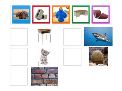 Texture Match up. Which items have the same texture