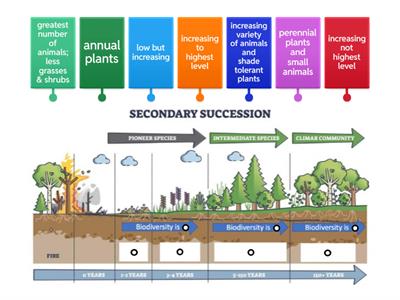 Secondary Succession