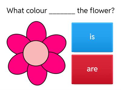 What colour is / are the ____ ?
