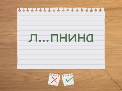 Орфография