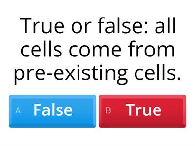 Model of Cells - Quiz