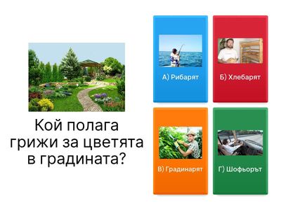 Растенията 3 клас