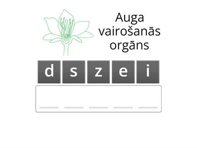 Zieds- auga vairošanās orgāns