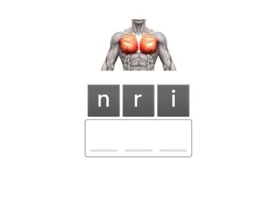 lihakset: kolme ensimmäistä kirjainta anagrammina