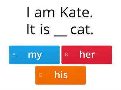 Complete with I, my ,you, your, she, her, he, his, it, its, we, our, they, their.