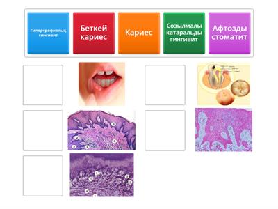 патан 