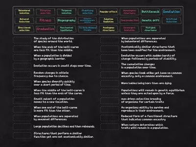 Evolution vocabulary matching