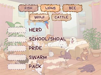 MATCH UP WITH THE COLLECTIVE NOUN