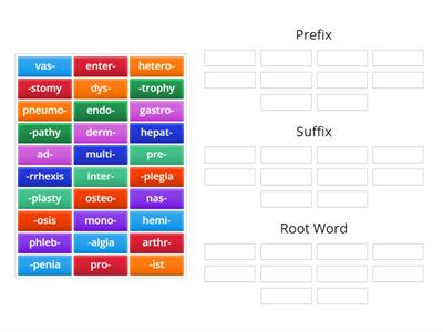 Prefix / Suffix / Word Root Grouping