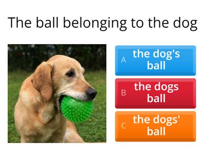 Singular and Possessive Nouns 