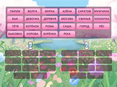 Имя собственное