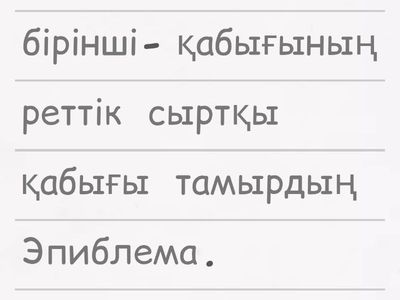 Тамырдың ішкі құрылысы