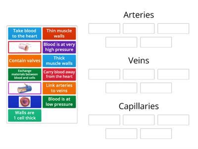 Blood vessel group sort