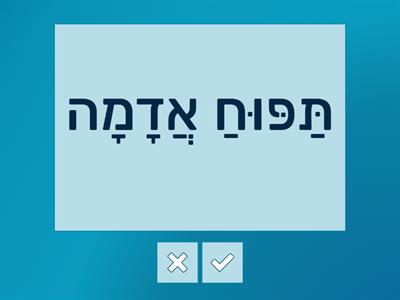 FLASH CARDS: Vegetables