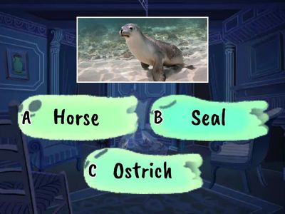 7.Sınıf İngilizce 4.Ünite Wild Animals Test