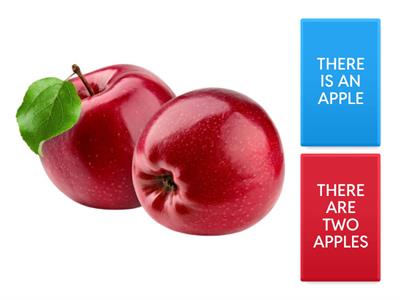 THERE IS / THERE ARE - KIDS 1