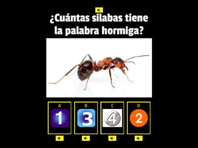 conciencia fonologica 