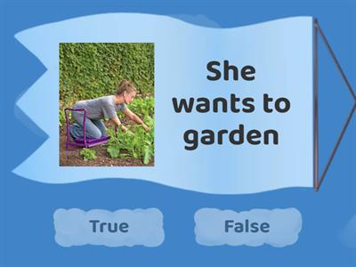 Want to/doesn't want to - 4th 