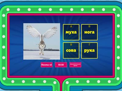 Шоу 1 класс слоговой структуры Часть 1