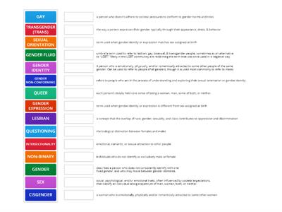 GENDER & SEXUALITY VOCAB