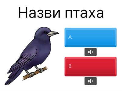 Зимуючі птахи