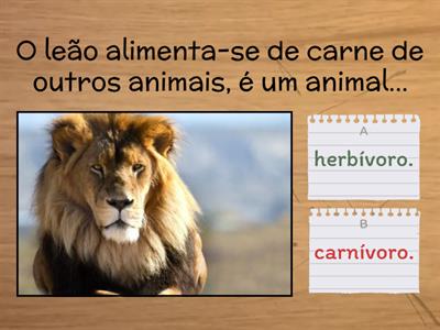 Regimes alimentares dos animais 