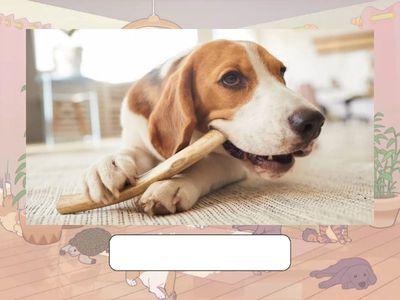 Beehive 4 Unit 1 type