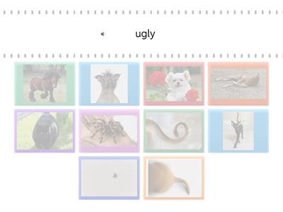 Animals & Adjectives Matching Game