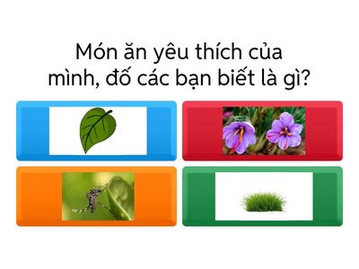 ĐỐ VUI