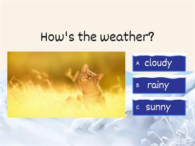 Oxford Discover 1 Unit 7 Weather quiz