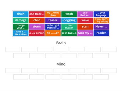 brain or mind