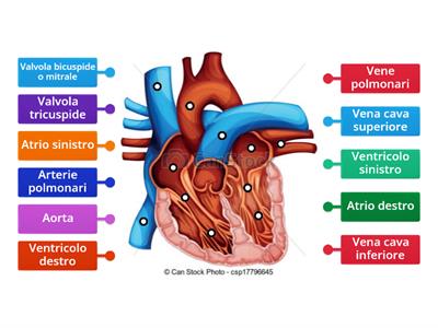 gioco sul cuore