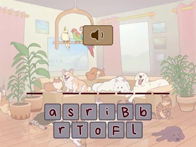 Страны по-португальски BR