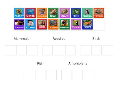 Animal Classification