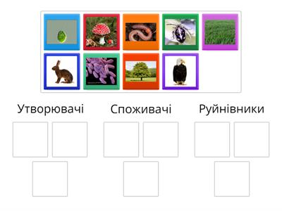 Екосистема 6 кл НУШ