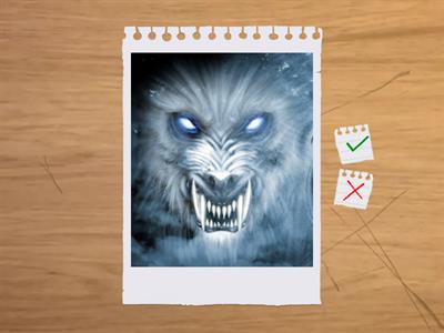 Solution Pre-Intermediate 